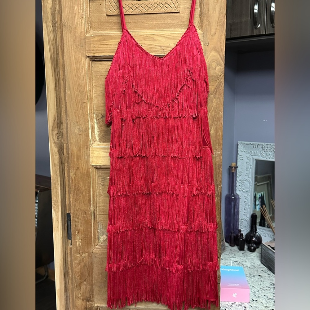 Fringe shift sheath spaghetti strap flapper boho retro dress boa & mask costume